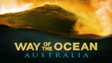 WAY OF THE OCEAN – Official Trailer 1